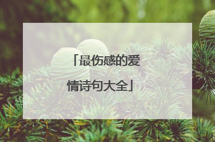 最伤感的爱情诗句大全