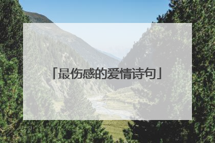 最伤感的爱情诗句