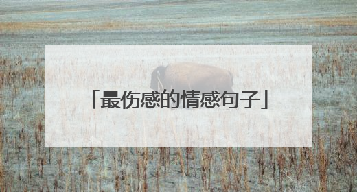 最伤感的情感句子