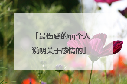 最伤感的qq个人说明关于感情的