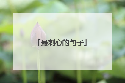 最刺心的句子