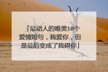 最动人的唯美10个爱情短句，我爱你，但是最后变成了我碍你