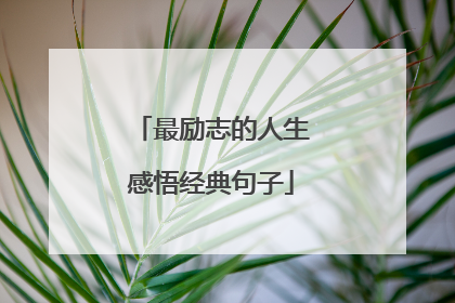 最励志的人生感悟经典句子