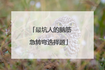 最坑人的脑筋急转弯选择题