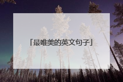 最唯美的英文句子