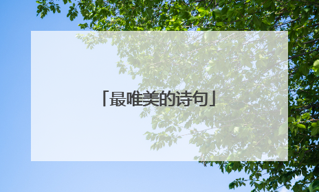 最唯美的诗句