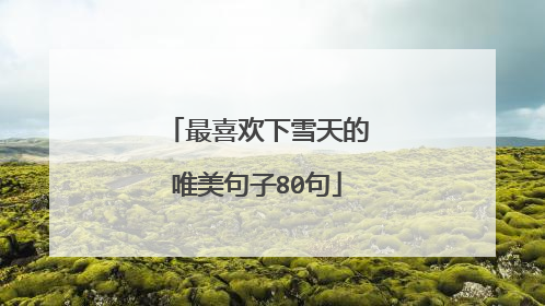 最喜欢下雪天的唯美句子80句
