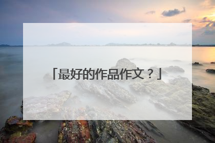 最好的作品作文？