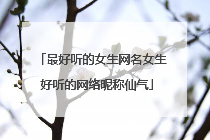 最好听的女生网名女生好听的网络昵称仙气