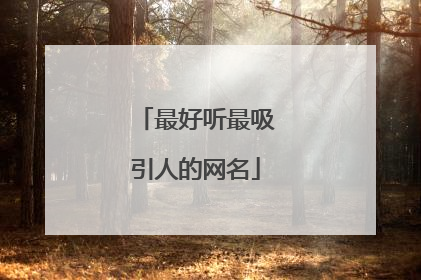 最好听最吸引人的网名