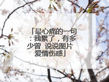 最心痛的一句:我累了,有多少曾 说说图片爱情伤感