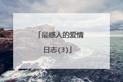 最感人的爱情日志(3)