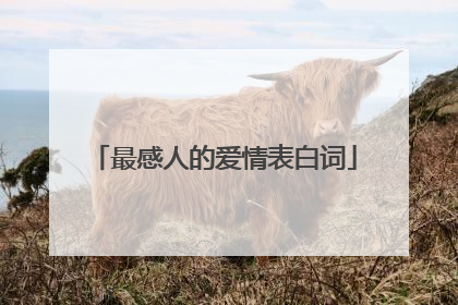 最感人的爱情表白词