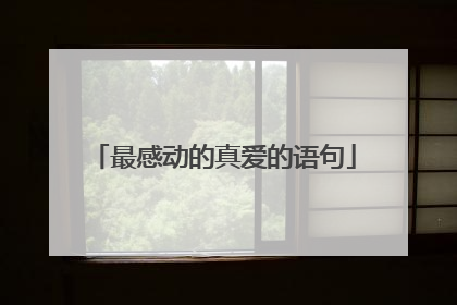 最感动的真爱的语句