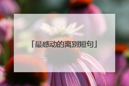 最感动的离别短句