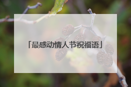 最感动情人节祝福语