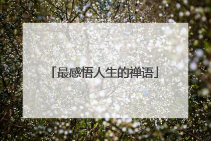 最感悟人生的禅语