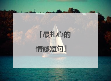 最扎心的情感短句