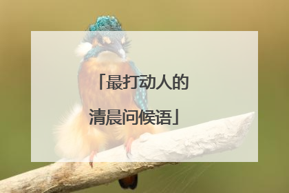 最打动人的清晨问候语