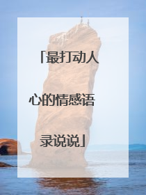 最打动人心的情感语录说说