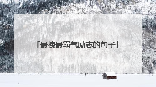 最拽最霸气励志的句子