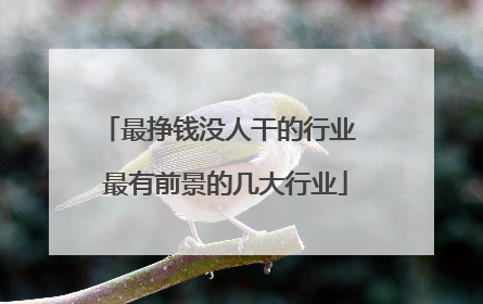 最挣钱没人干的行业 最有前景的几大行业