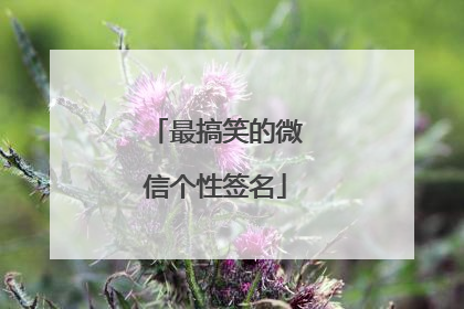 最搞笑的微信个性签名