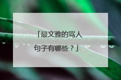 最文雅的骂人句子有哪些?