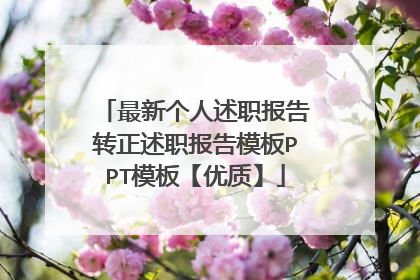 最新个人述职报告转正述职报告模板PPT模板【优质】