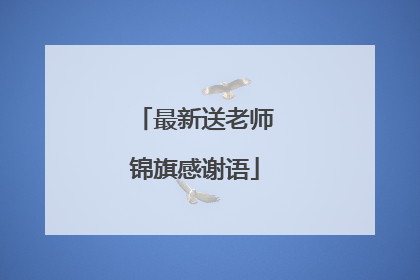 最新送老师锦旗感谢语