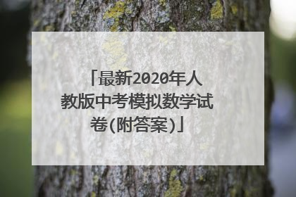 最新2020年人教版中考模拟数学试卷(附答案)