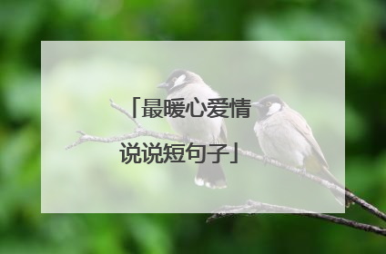 最暖心爱情说说短句子