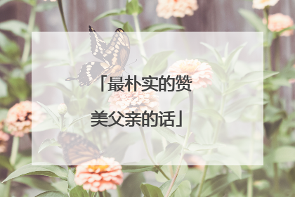 最朴实的赞美父亲的话