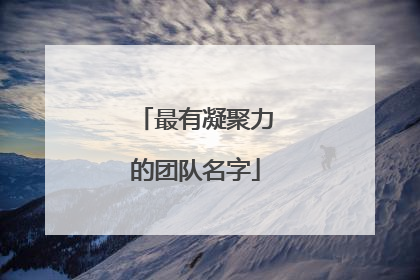 最有凝聚力的团队名字