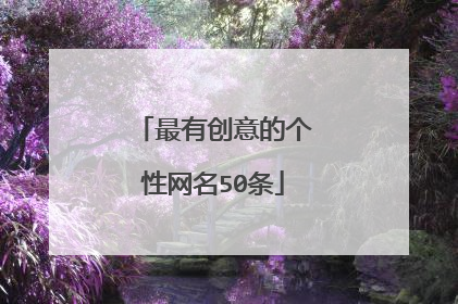 最有创意的个性网名50条