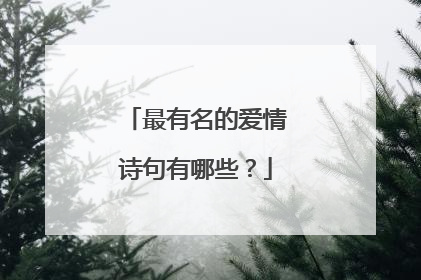 最有名的爱情诗句有哪些?