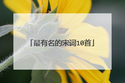 最有名的宋词10首