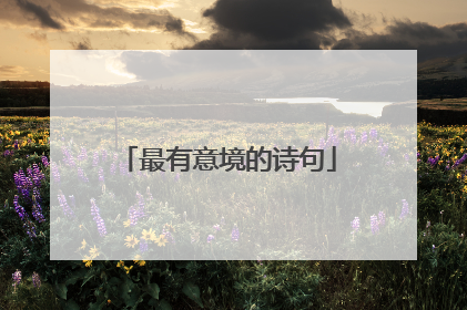最有意境的诗句