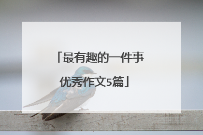 最有趣的一件事优秀作文5篇