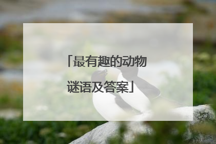 最有趣的动物谜语及答案