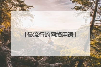 最流行的网络用语