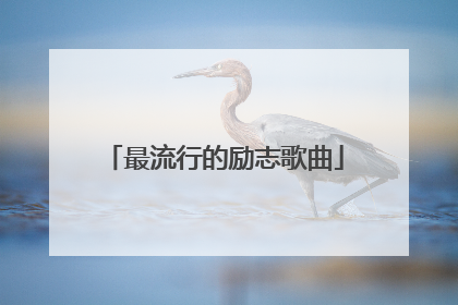 最流行的励志歌曲