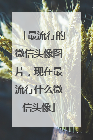 最流行的微信头像图片，现在最流行什么微信头像