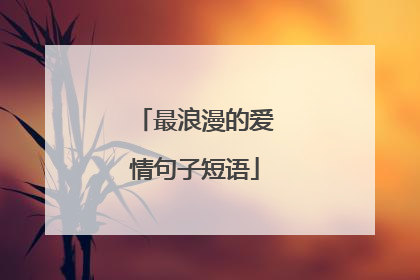 最浪漫的爱情句子短语