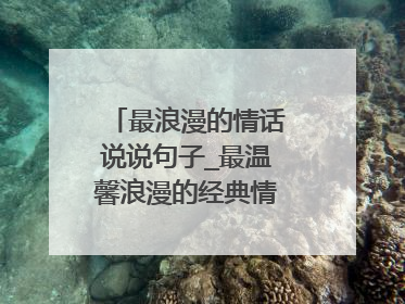 最浪漫的情话说说句子_最温馨浪漫的经典情话句子(2)