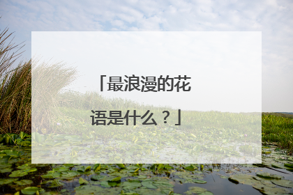 最浪漫的花语是什么?