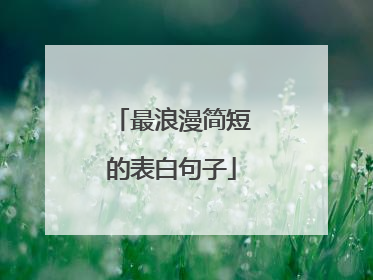 最浪漫简短的表白句子