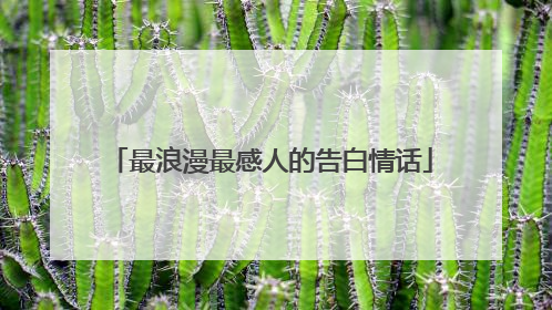 最浪漫最感人的告白情话