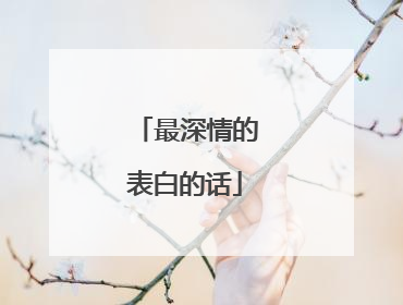 最深情的表白的话