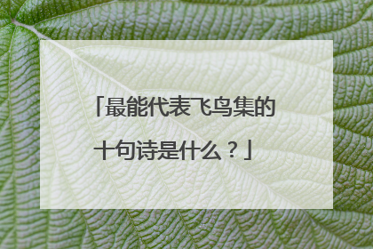 最能代表飞鸟集的十句诗是什么?
